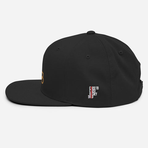 Skate Icon Gold Snapback Hat